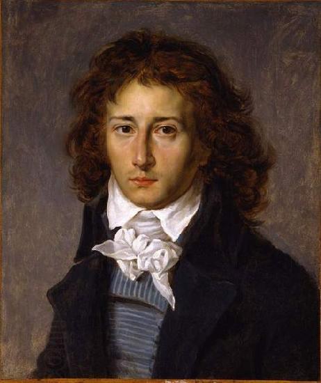 Baron Antoine-Jean Gros Portrait of Francois Gerard, aged 20 oil painting picture